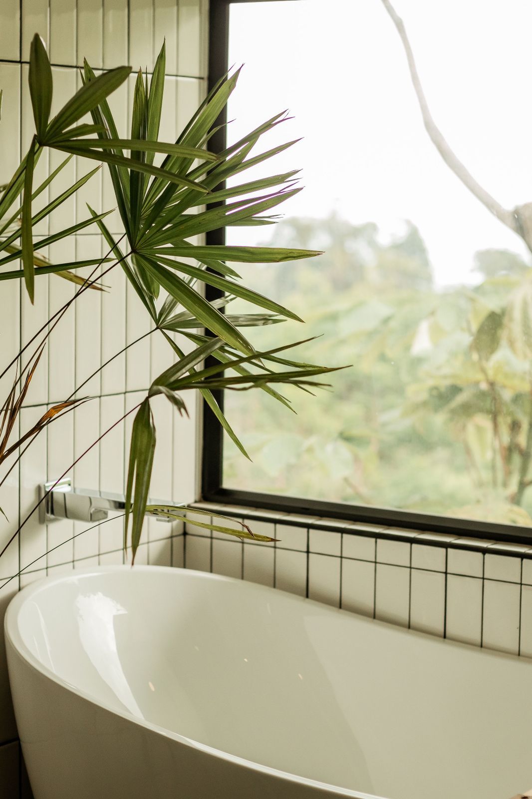 Whale’s Tail Paradise Vista – 3.7 Acre Oceanview Dream Home in Uvita