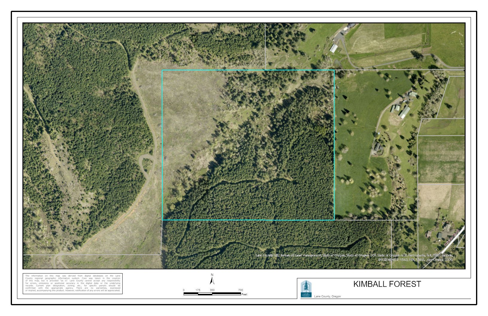 KIMBALL FOREST