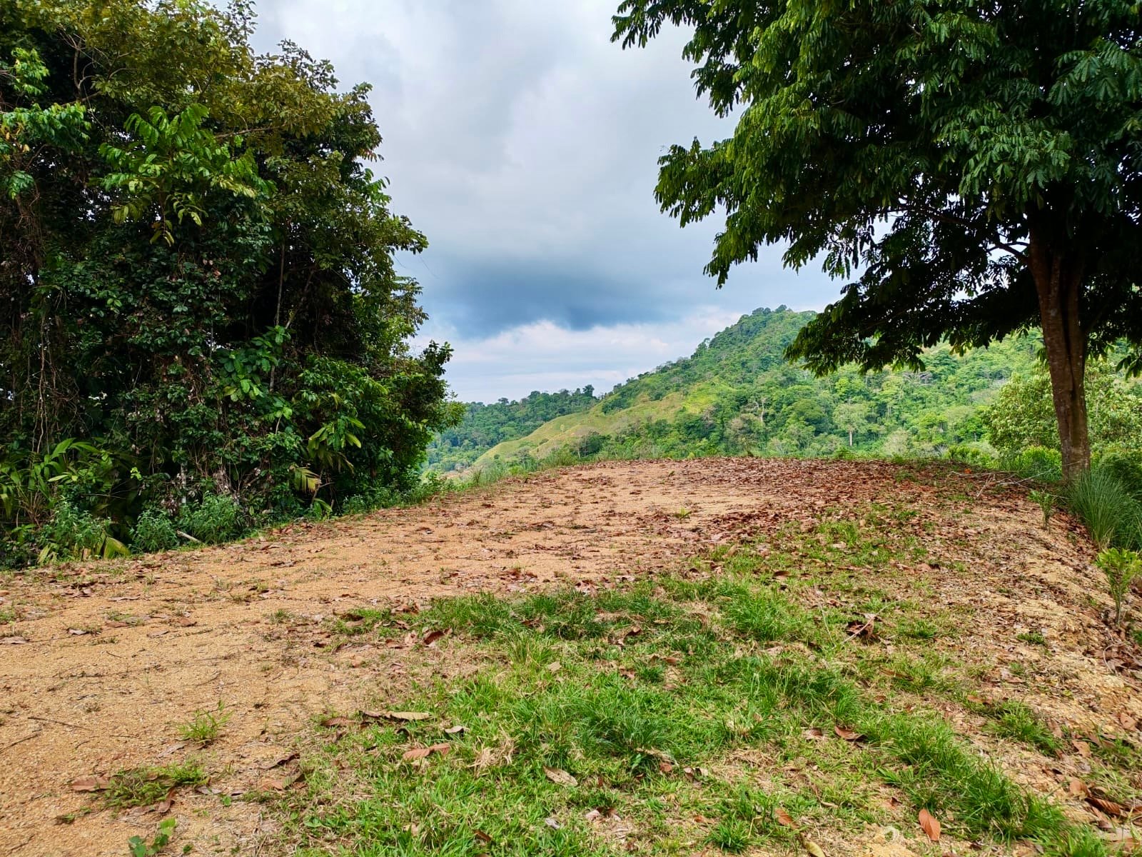 24.7-Acre Ocean View Eco Estate in San Cristóbal de Aguirre | 5 Building Sites