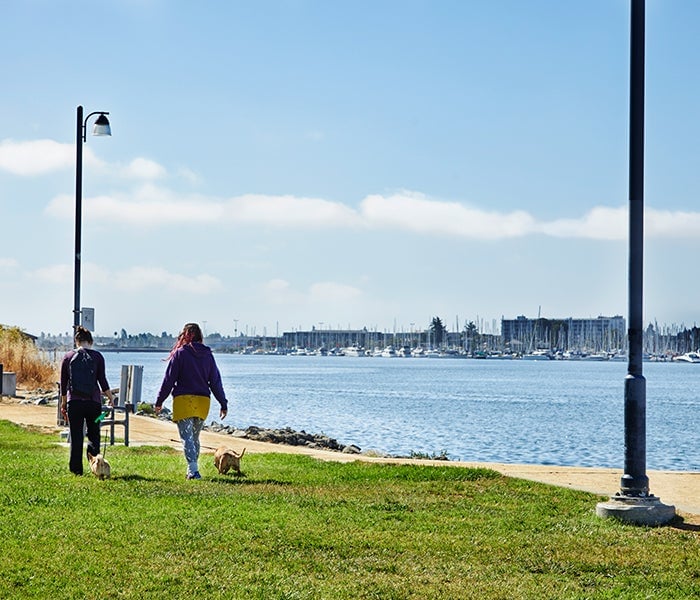 Jack London Square