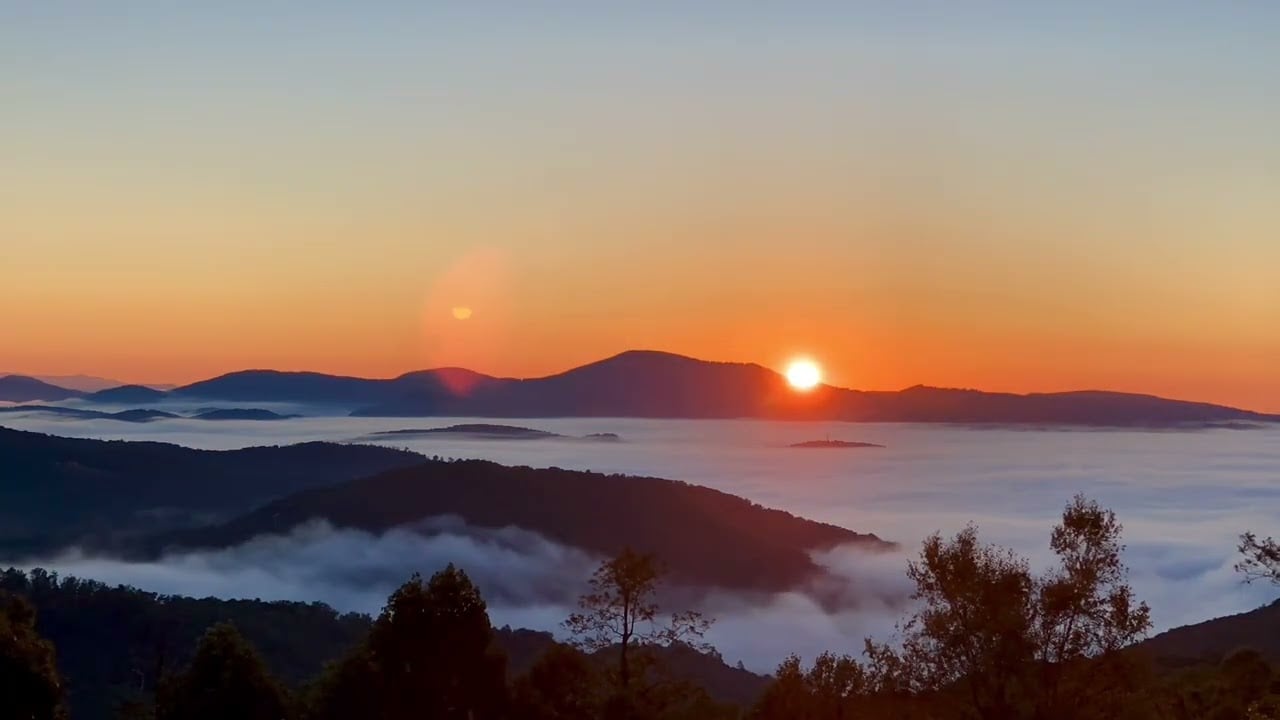 Sprout Morning Sunrise