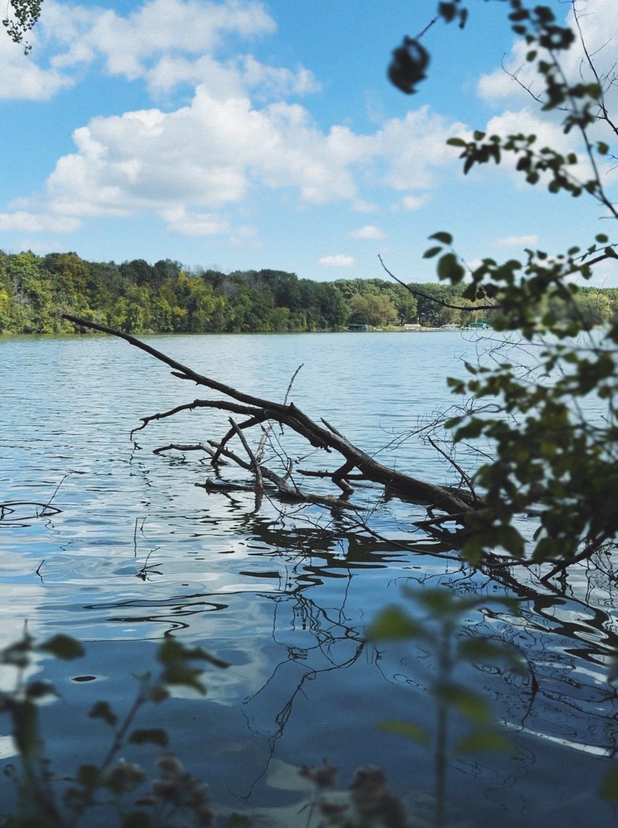 On the shores of Little Green Lake