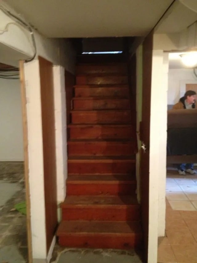 Basement Renovation-Day 1
