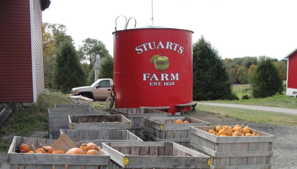 Pumpkin bins and a red Stuart's Farm tank beside a country lane.