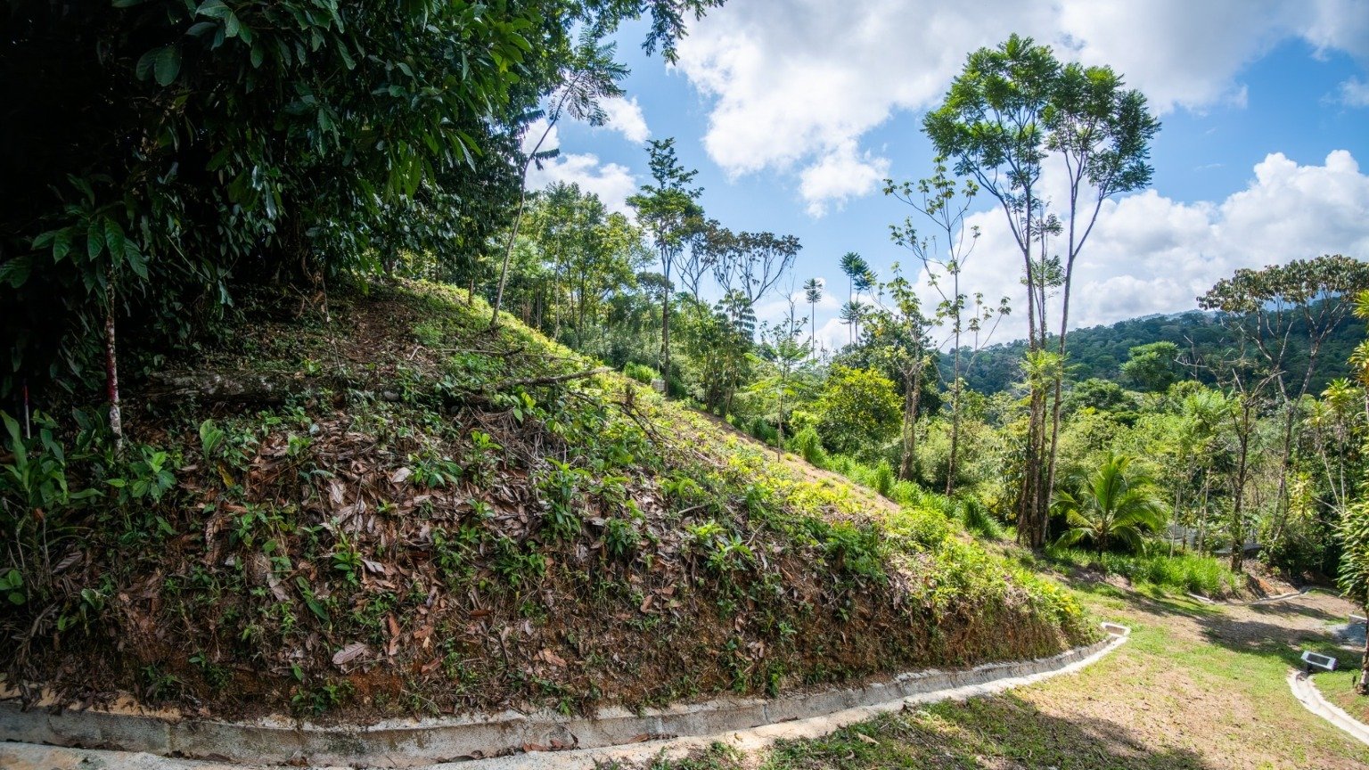 Tropical Sanctuary Above Uvita: 5-Acre Jungle Estate with incredible Mountain Views