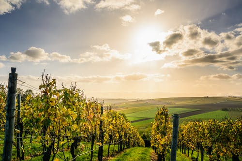September Sales Keep Trend Lines Improving