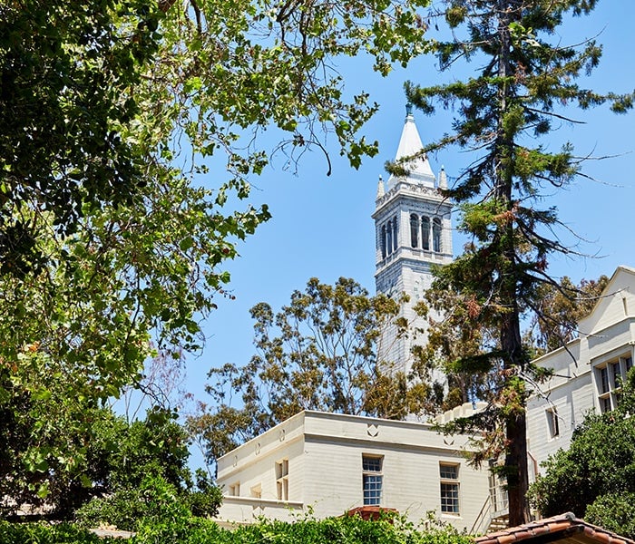 Uc Berkeley/southside
