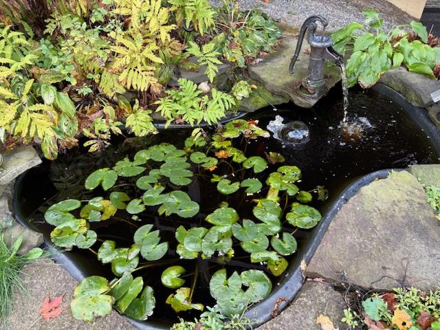 313 N. Brookland Road