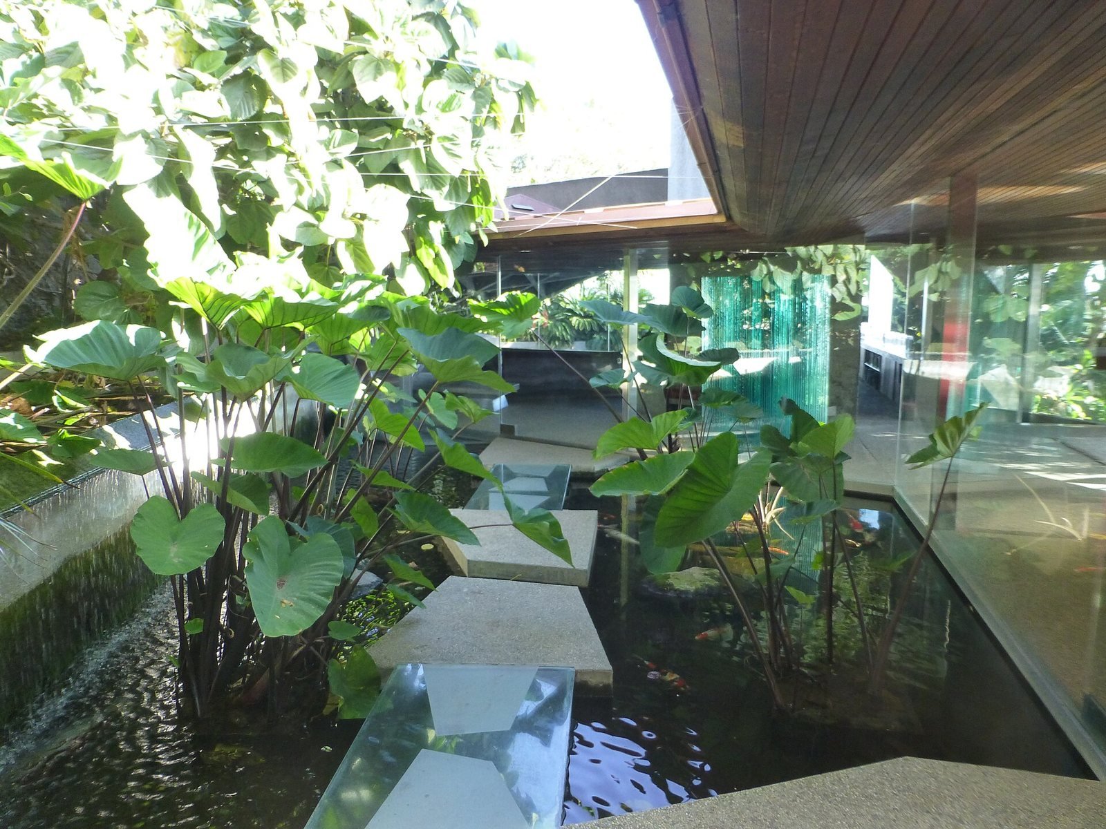 The entry path at the Sheats-Goldstein Residence, with glass stepping stones crossing a pond filled with tropical plants beneath the concrete roof.