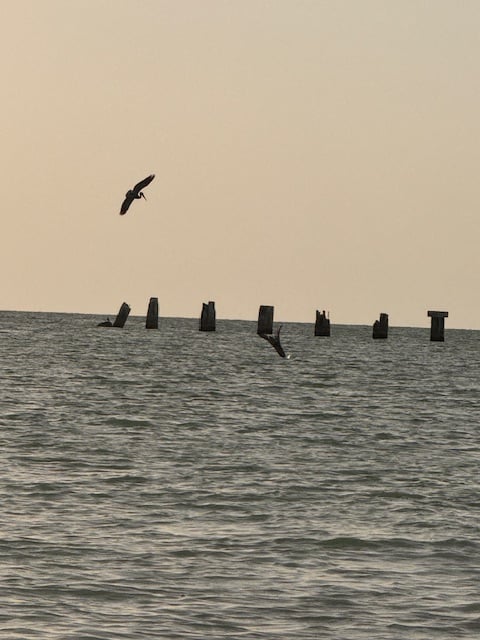 Boca Grande Tarpon Tournament!