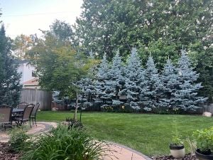 Featured in the Parade of Homes — this 2014 custom build is everything Edina buyers dream about.