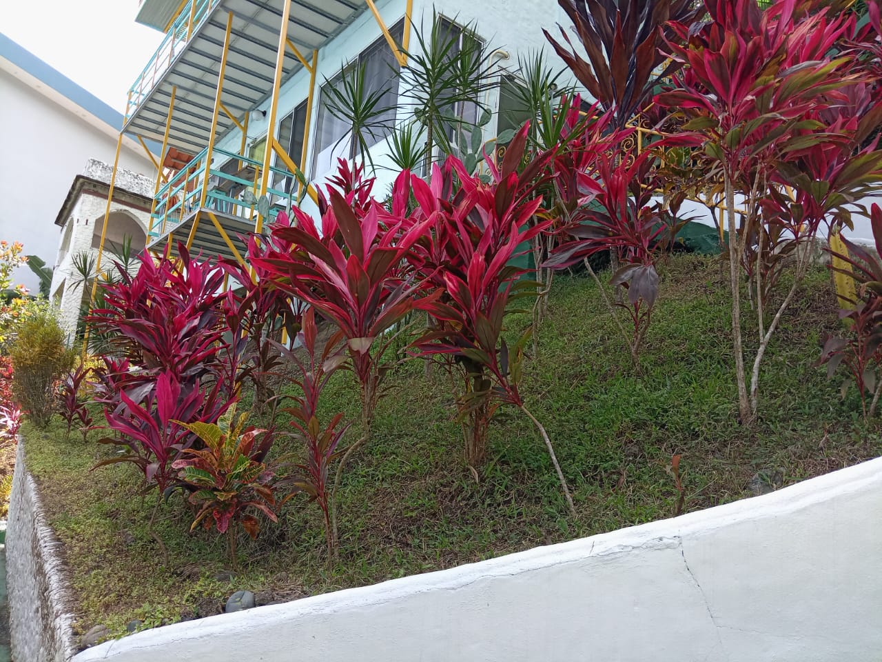 M. A. Ocean View Apt.