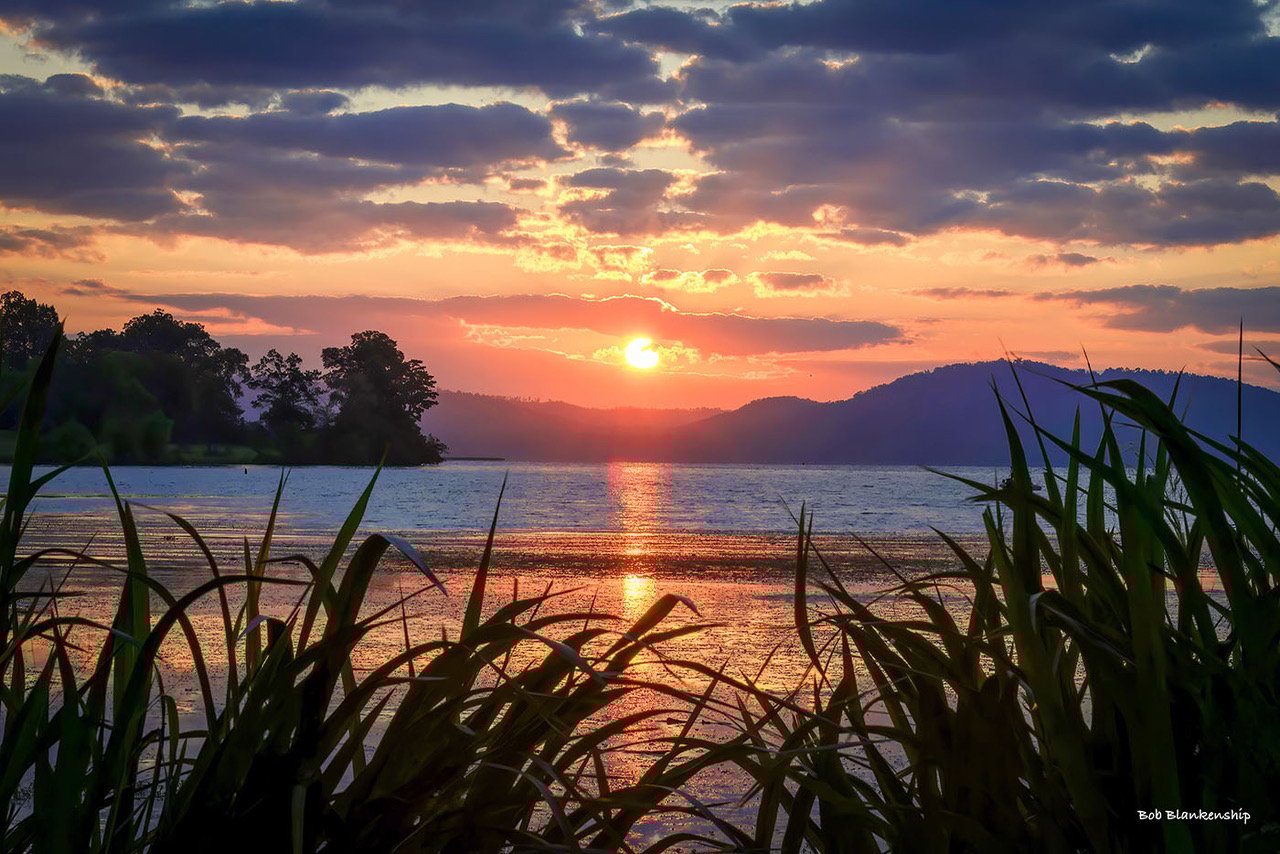 Scottsboro