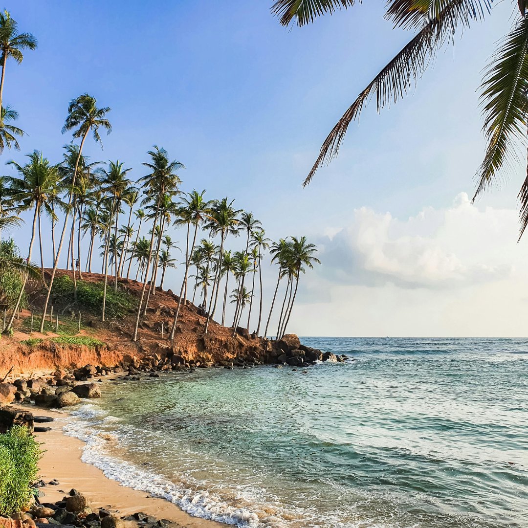 Palm Beach! Members Only Real Estate Brokerage