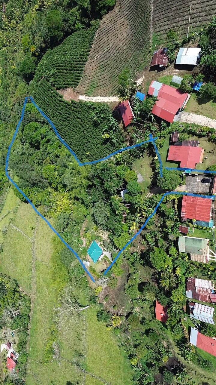 Mountain Oasis with House and Guest Cabin in Las Brisas, San Vito 