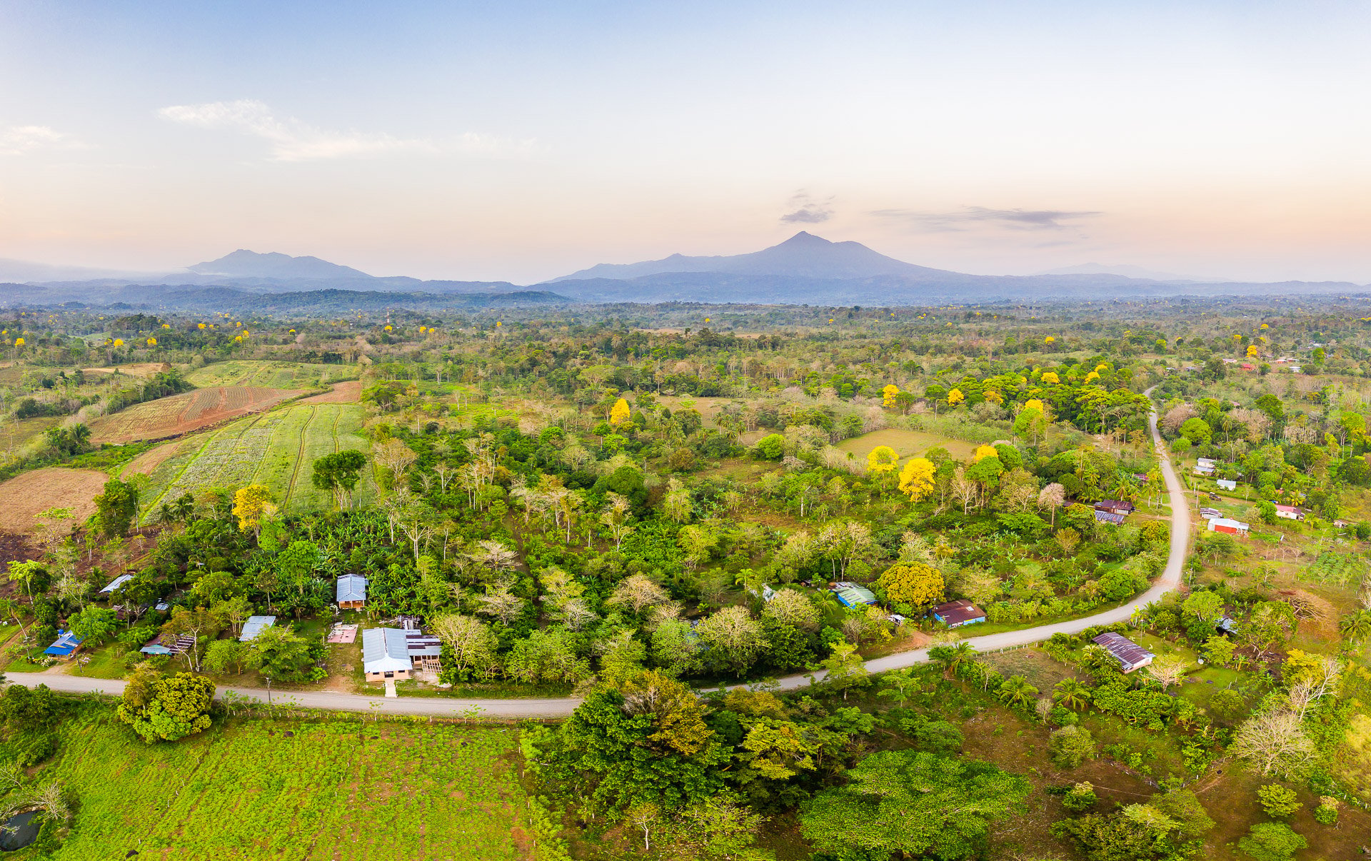 Blue Valley Cacao Farm | High-end gourmet chocolate production.
