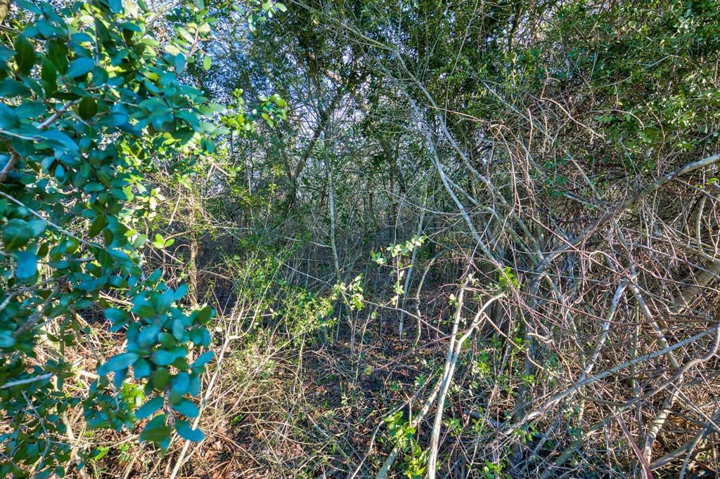 TBD Ellerman Rd Brenham, Tx 77833