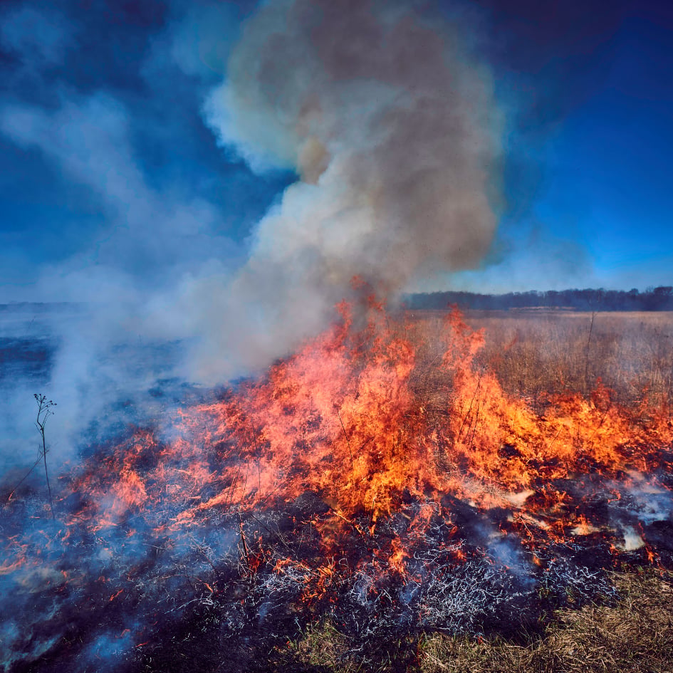 Wildfire Changes Impacting Colorado Homes