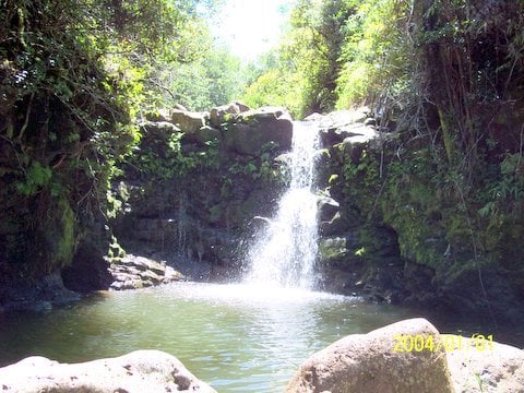 HAMAKUA COAST BIG ISLAND