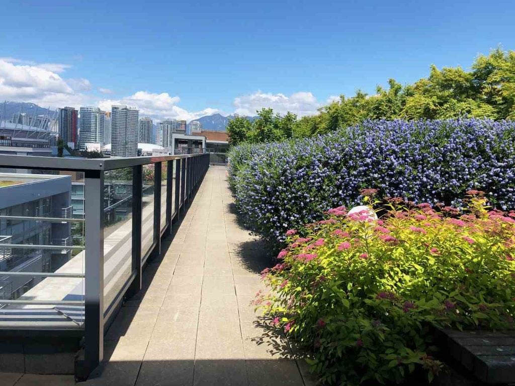 123 W 1st Ave, #710