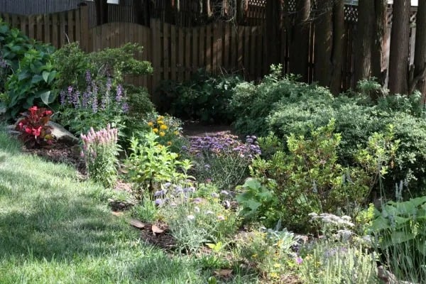 Garden Love!