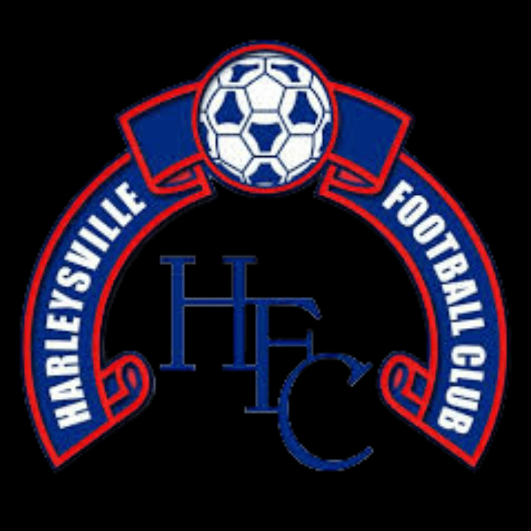 Movie on the Mountain