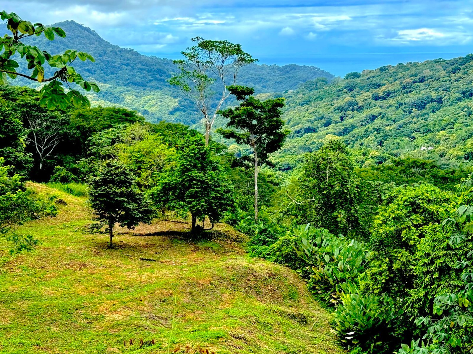 4.76 ACRES – Ocean View Property in Lagunas, Completely Flat And Usable, Commercial Or Residential, Ready To Build!!!