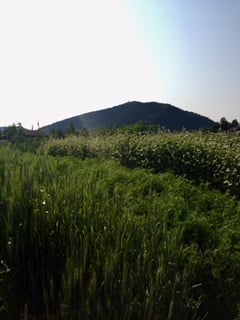 Park City Event Guide: May 3 – 9, 2019