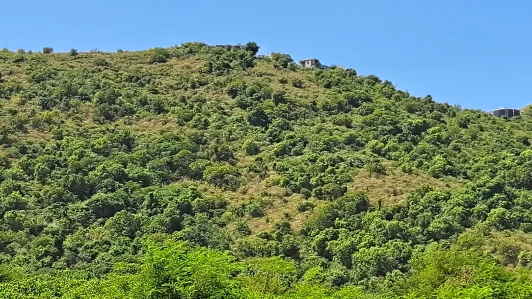 1010 Jost Van Dyke 0.811 Acre Land