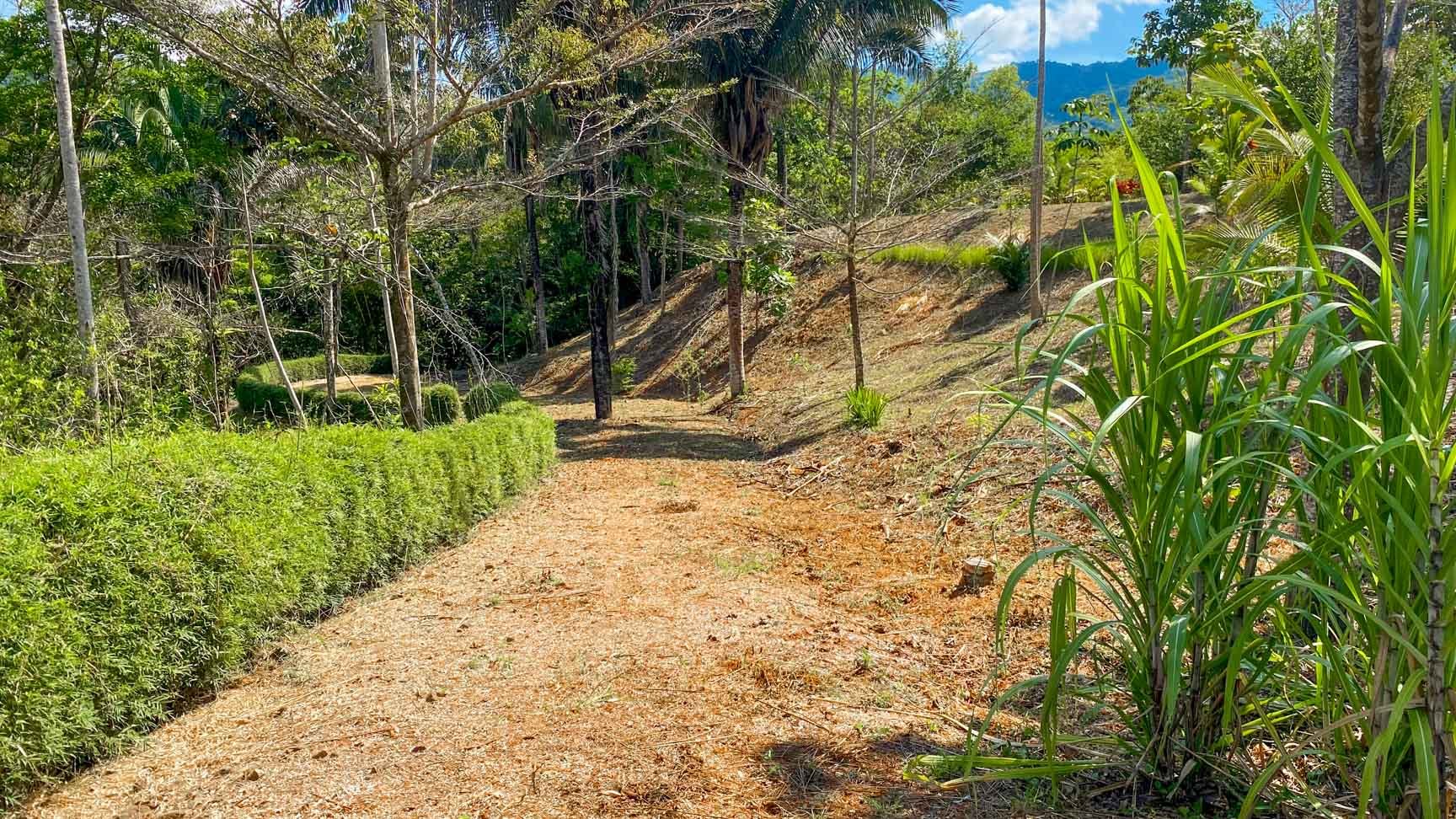 32-Acre Self-Sustainable Off-Grid Farm Near Ojochal with House, Solar Power & River