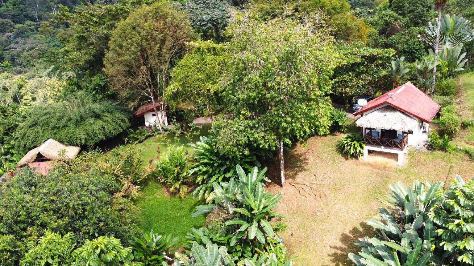 Stunning 3.5-Acre Ocean View Property in Costa Rica – Endless Possibilities Await!