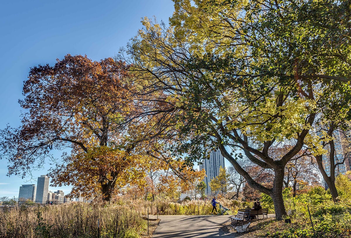 Lincoln Park