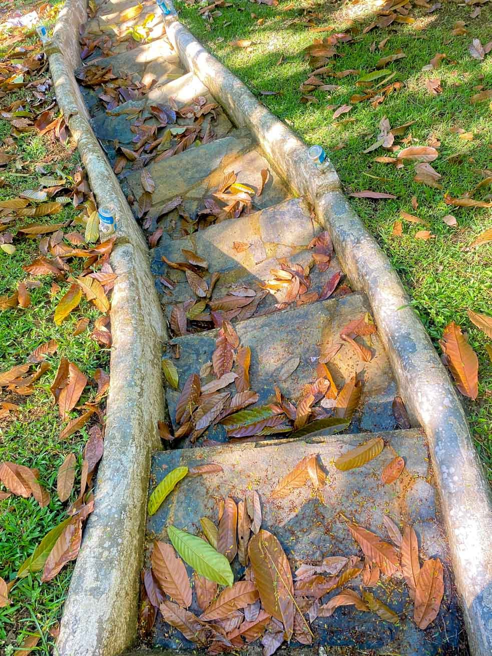 Ocean, Jungle & Mountain View Home in Ojochal | Protected Jungle Setting