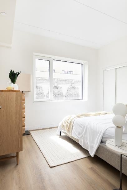 8 Palmetto - New York City, NY