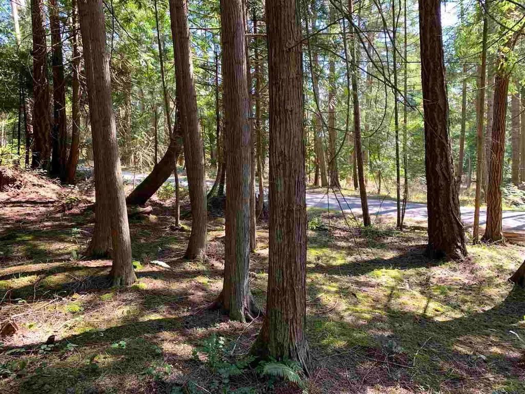 413 Campbell Bay Rd