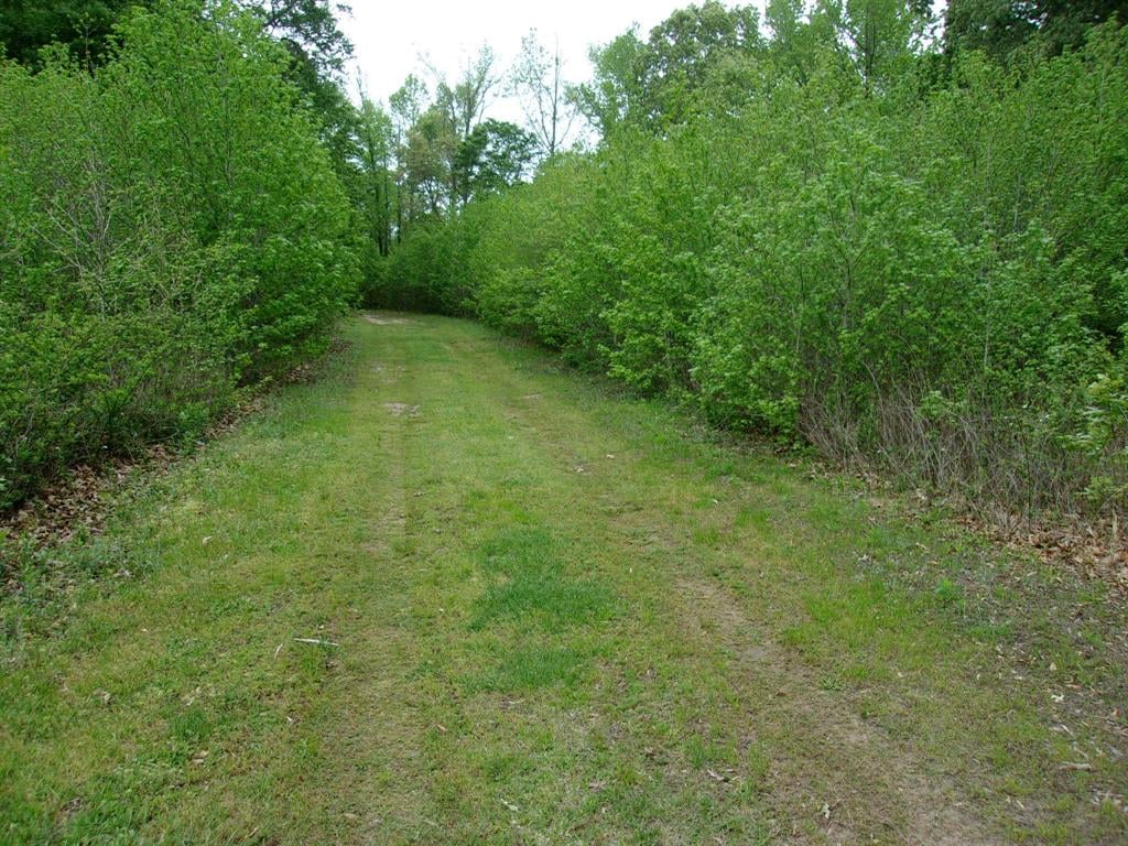 TBD County Rd 3520