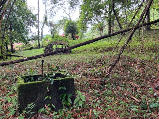 17.85 ACRES – Stunning Large Land With 2 Waterfalls Near Dominical Beach!!!