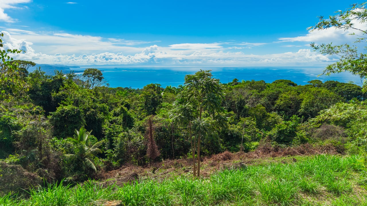 Luxury Ocean View Homesite in Escaleras Playa Dominical