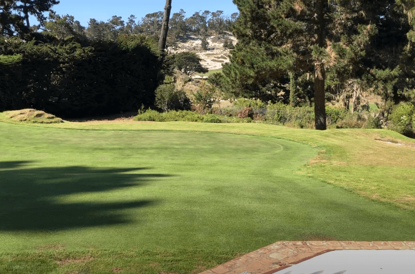 Pebble Beach Pool and Spa Service Providers