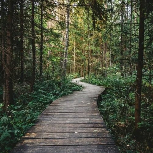 Proximity to Lakes and Trails
