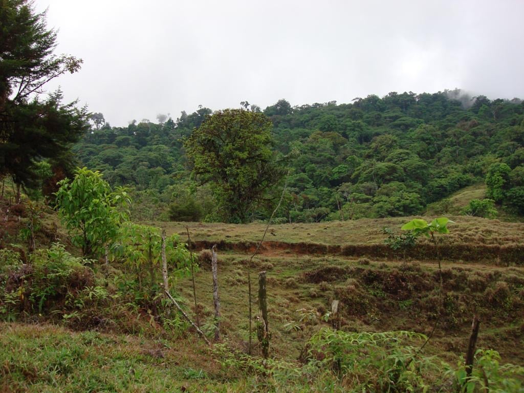 Los Cerritos Farm – 6.4 Acres of Ocean & Mountain Serenity