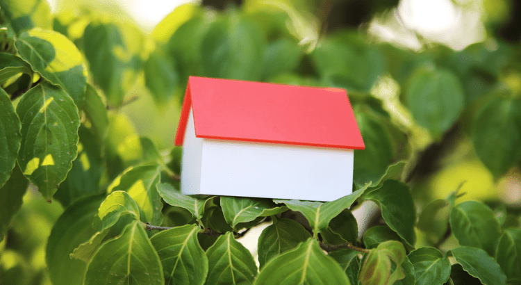 Chattanooga Home Foreclosures