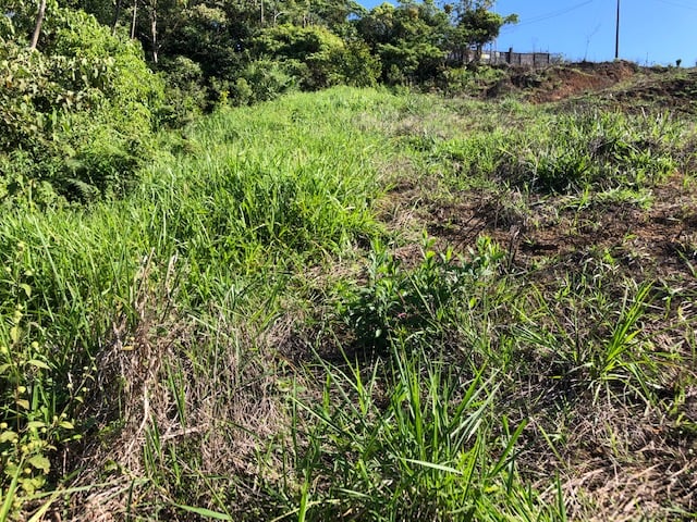 1.24 ACRES – Alto de San Juan, TOP OF THE WORLD VIEWS, Cool Breezes, Ready to Build Your Dream!!!!!