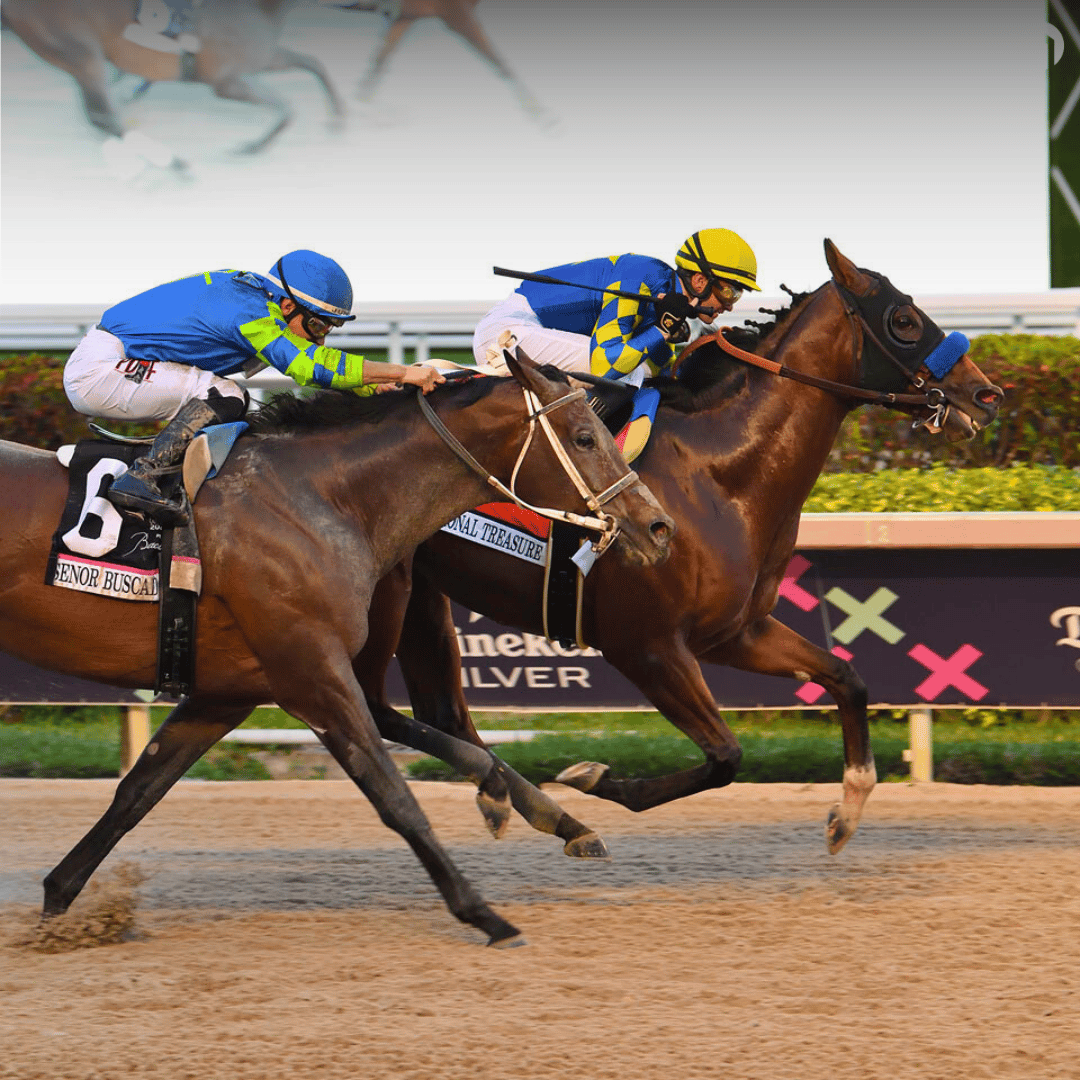 LUXE Top 5: Things To Do: January