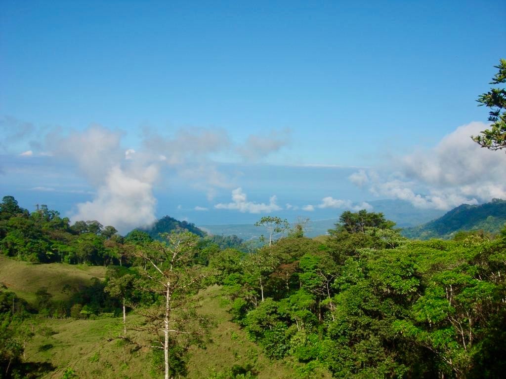Los Cerritos Farm – 6.4 Acres of Ocean & Mountain Serenity