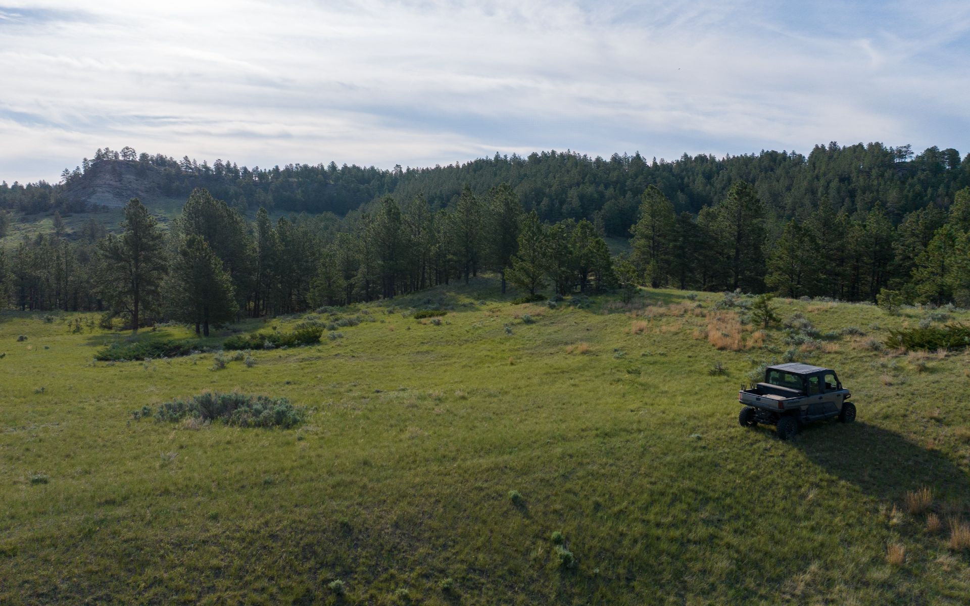 Elk Rich Ranch