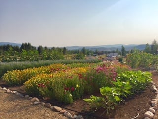 Park City Event Guide: May 3 – 9, 2019