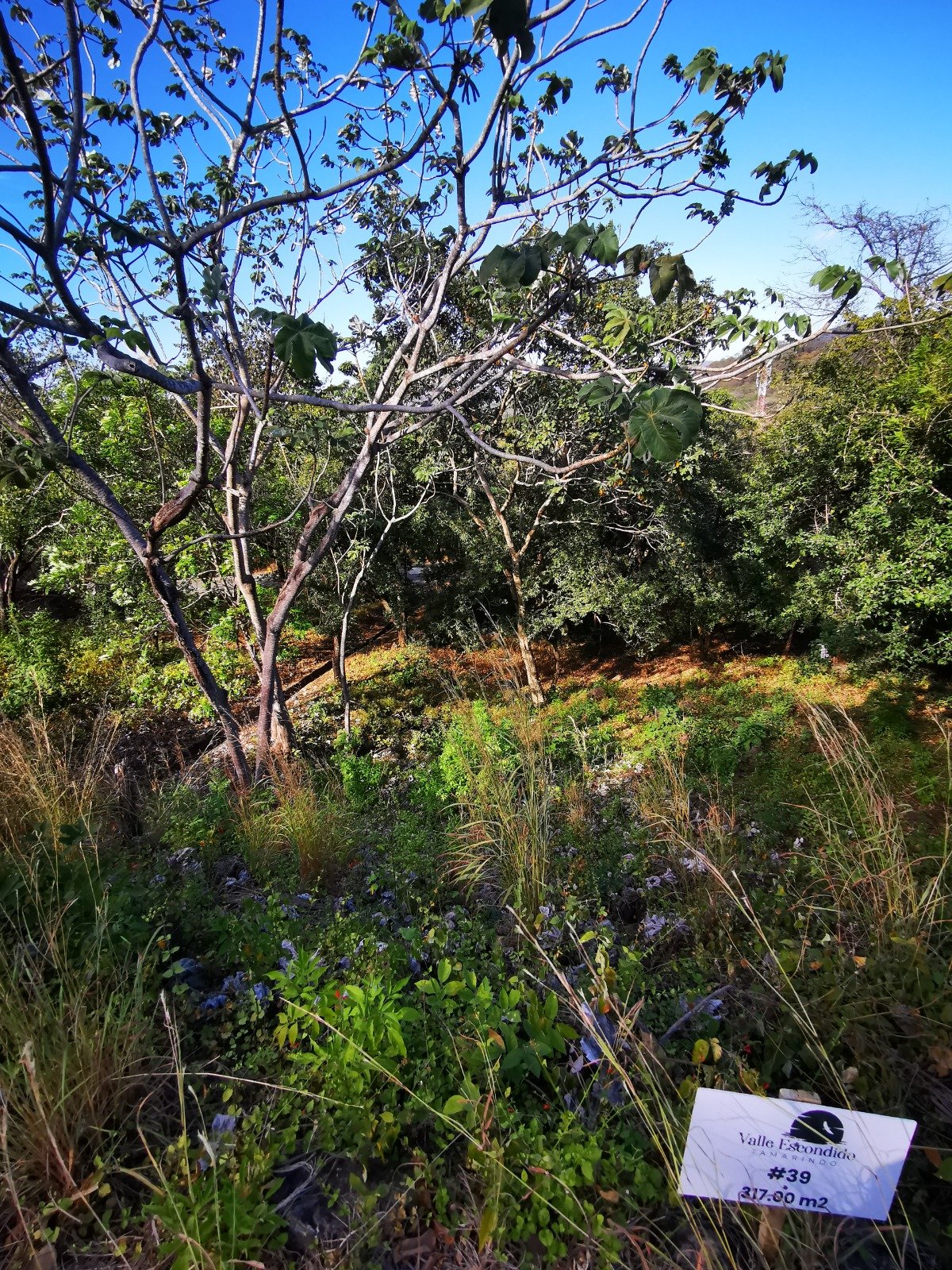 Valle Escondido