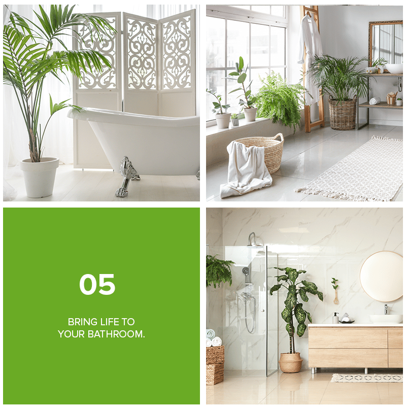 Home-decor collage with houseplants in a bathtub area, laundry room, and bathroom; panel reads “05 Bring life to your bathroom.”