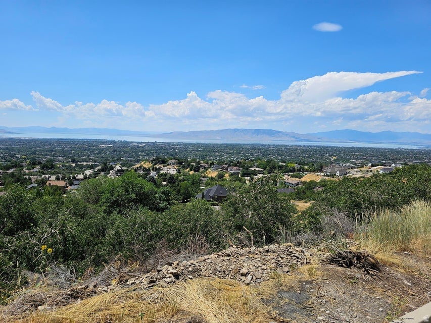 4457 Mile High Dr